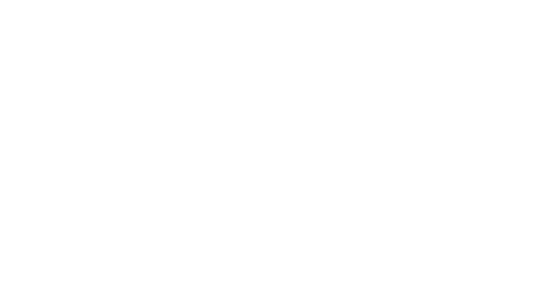 Logo Die Infografiker